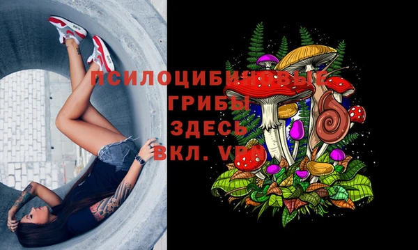 СК Арсеньев