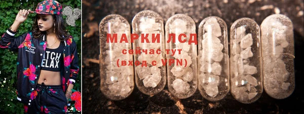 спайс Аркадак