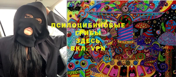 СК Арсеньев